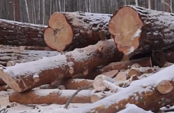 � ������� ���������� ���������� ���� �� ����� 