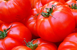 � ������� ������ � ���������� ������ ������� ���������