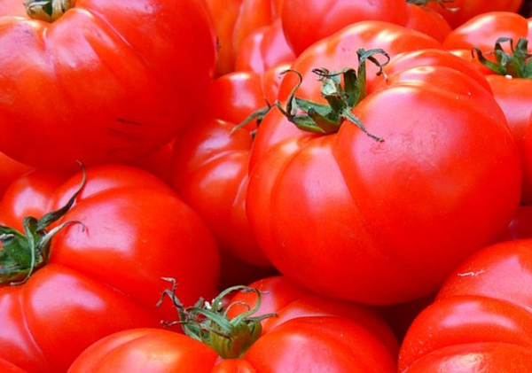 � ������� ������ � ���������� ������ ������� ���������