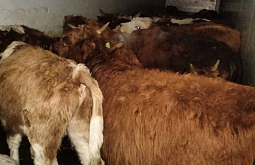 �� ������� ������� � ���������� ���������� ����� � ���� ��� ���������� 