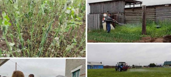 ���� � ������� ����������� ��������� ����� �������� ��������� 