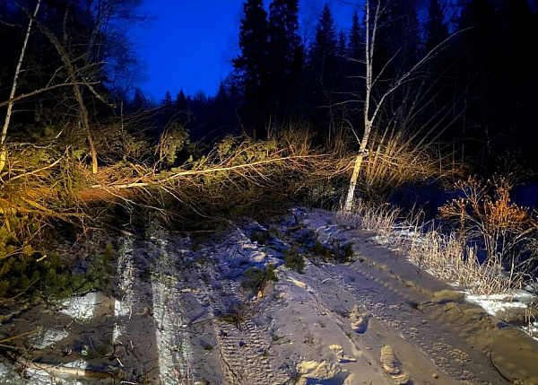 � ������� ������� �������� ������������ ���������� ���������