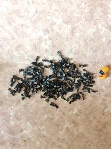 � ������� ������� ����� ��������� ��������