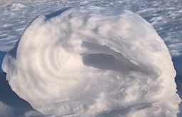 ���� ��������� ������� ��������: �� ������� �������� ������� ���� �������