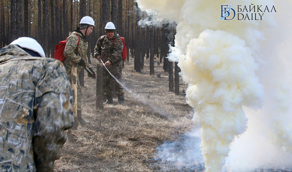Улан-удэнцы устроили лесной пожар