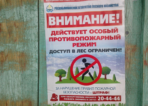 � ������� ����� ������ ����� � ��������