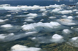 � �������� �� ������� ��������� ������� �� ���������� 50 ���������