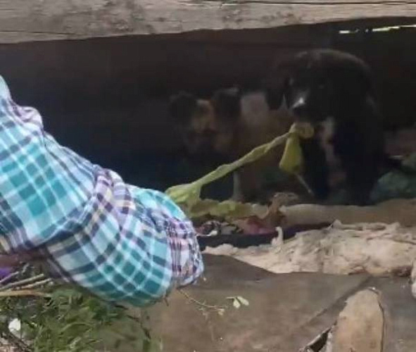 � ����-��� ����� ������� ������� � ����������� ����