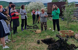 � ������� ��������� �������� �������-������� ��� 