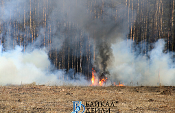 ������� ���������� � ����������� � ���������� ������