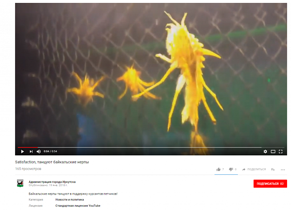     Satisfaction Challenge   