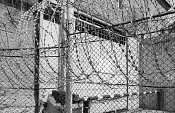 � ����-��� ���������� �������� ���, ������������ ������������ ���������