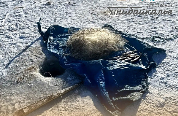 �� ������� ������ �����������