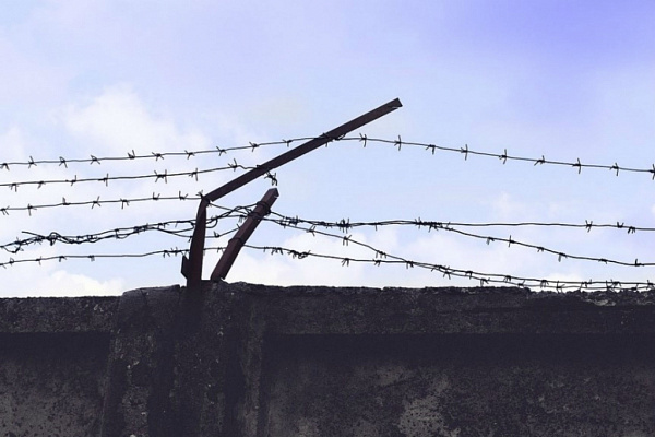 ���-5 ������������ ���������