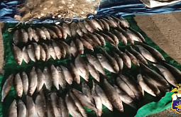 �� ������� � ������� ���������� �������� ���� �� 1,5 ��� 