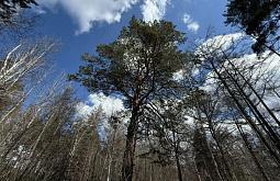 �� ������� �������� � ����-��� ����� 350-������ �����