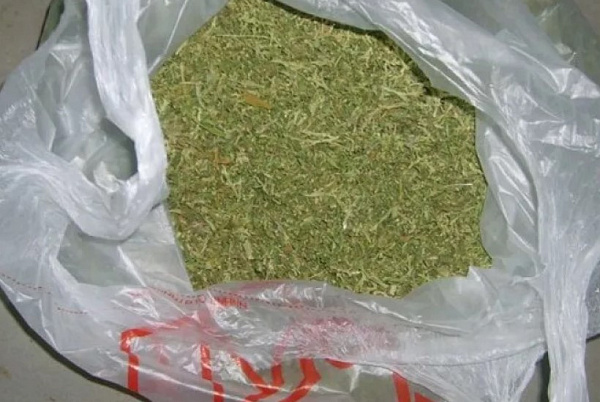 Жителя Бурятии оштрафовали за хранение конопли 