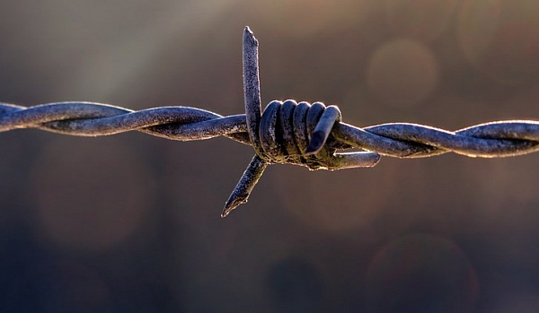 ��������� ������ ������� ������ ����������� �� �������� 60 �������