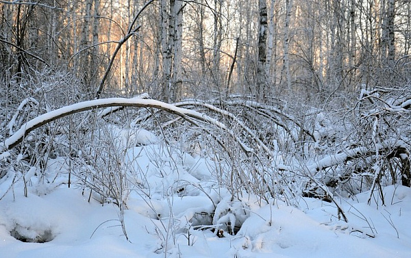 � ������� ������� ������ �� ������� ��� ����� � ������ 