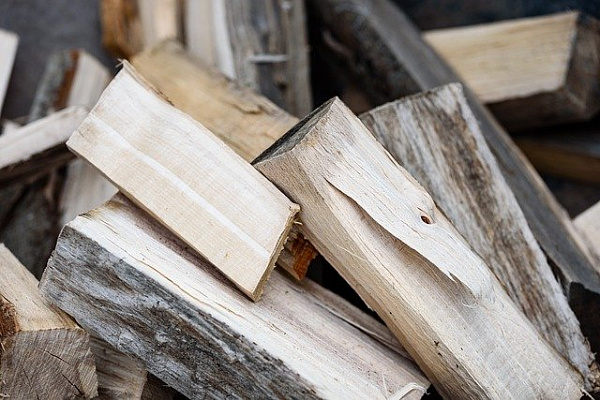 Прокуратура выявила незаконную рубку леса в Бурятии