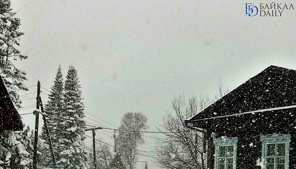 ����� 8,5 ����� ���� ����� ������� � ��������� ����