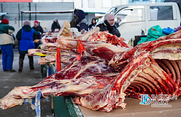 �� ������ ������� � ����-��� ������� ����� 160 ���� ���� 