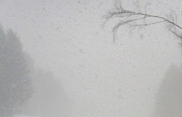 � ������ ������� ����� �� ������� ����� �������� �����