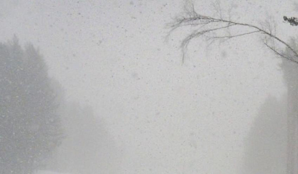 � ������ ������� ����� �� ������� ����� �������� �����