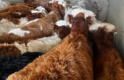 ������� ���������� �������� �������� �� �������� ���� � ����� �� ����������