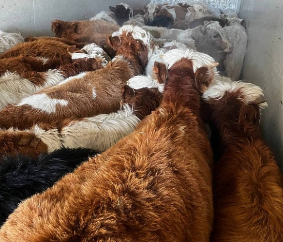 ������� ���������� �������� �������� �� �������� ���� � ����� �� ����������