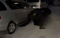 � ���������� ��������� ������� �� ���������� ����������