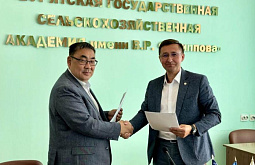 ���� ������� ������������ ��� ���������� ������������� ���������