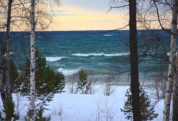 �� ������� ������� ���������� ���������� ���������� 