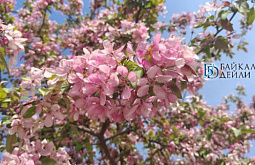 ������ � ������� ������� ���������� �� +16 ��������