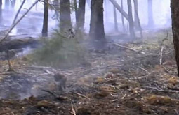 В Бурятии ночью потушили лесной пожар 