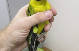 ������� ������� ������� �������� �� �������� 24 �����