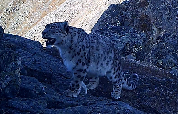 � ������� �������� �������� ������ �������� �����