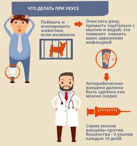 � ��������� ������� � �������� ������ ������� ���������