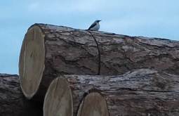 � ������� ���������������� ������� ���������� ����� 900 �����