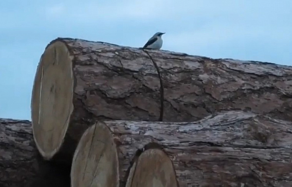 � ������� ���������������� ������� ���������� ����� 900 �����