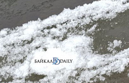 � ������� ������� ������ �������� ������ ����� ����