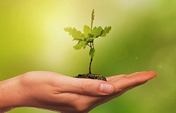 � ������� ���������� �������� ��������� �� �������