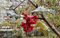 В Улан-Удэ днём без осадков
