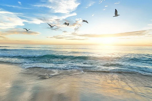 ������ ������� ���� ����� �������� � ������� � � ���� 