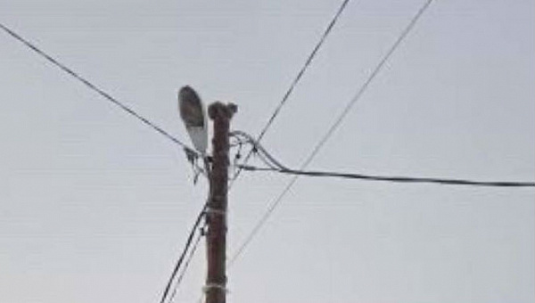 ����-������ ������ ����� �� ������ ���������� �����