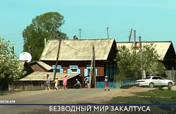 � ������ ���� �� ������� ��� ���� 