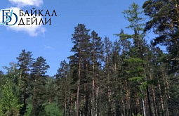 � ������� �������� ��� ������ ������