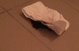 ����-������ ���� �������� �������� ���������� ����� � ��������