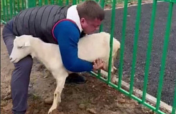 � ��������� ������� ��� �������� ������ ���� ���������� � ������ ����