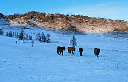 � �������� ������ ������� ������ �������� �������� ������